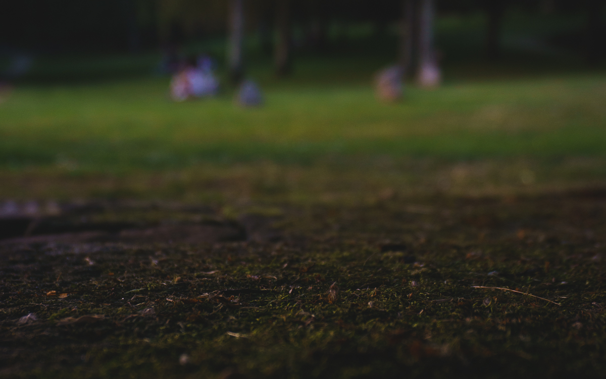 Imagen artística desenfocada. Primer plano de césped con fondo personas sentadas.